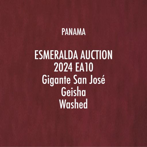 EA10 Gigante San José Geisha Washed