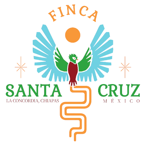 Chiapas Finca Santa Cruz Jose Arguello