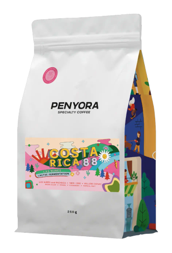 Costa Rica Las Nubes Lactic Filter