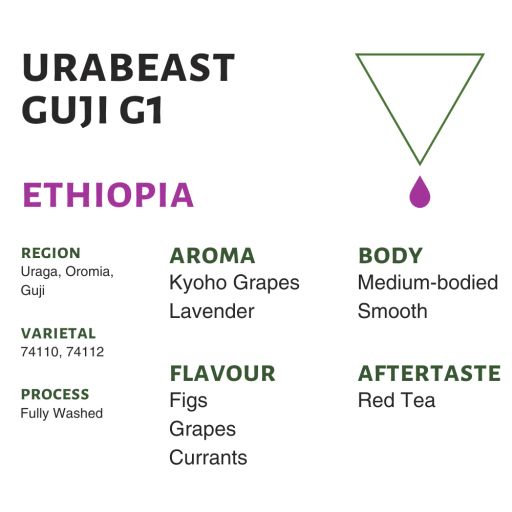 Ethiopia Urabeast Guji G1