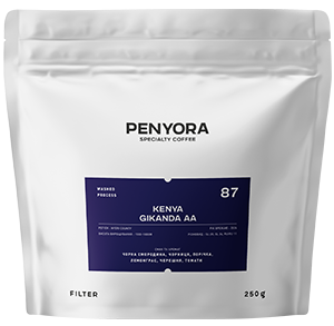 Kenya Gikanda AA Filter