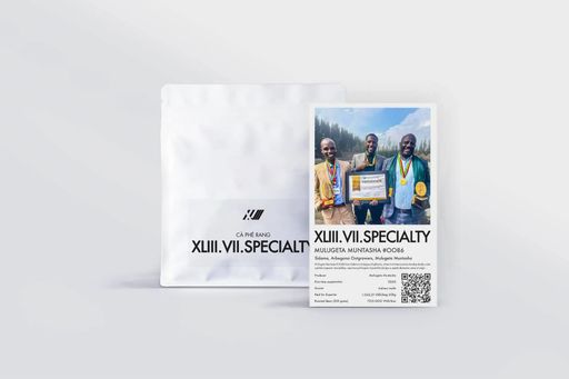 Mulugeta Muntasha #0086