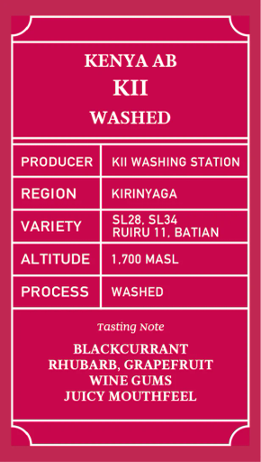 Kenya KII AB Fully Washed