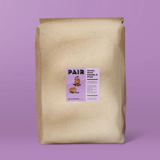 #96 Natural-Processed Coffee Beans from Myanmar - Wholesale