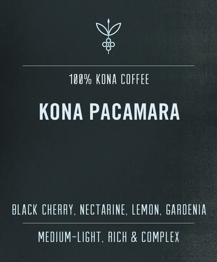 100% Kona Pacamara