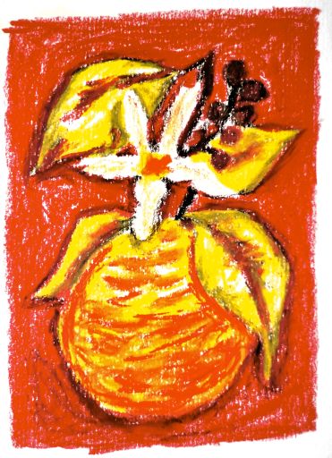 Lot 20 'The Lab' • Anaerobic Natural Orange Co-Ferment • Ruiri 11, Batian, SL-28 • Kenya