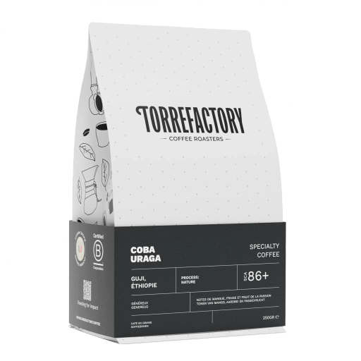 Café Coba Uraga - Guji, Éthiopie