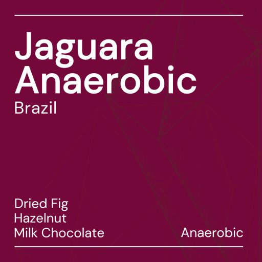 Jaguara Anaerobic