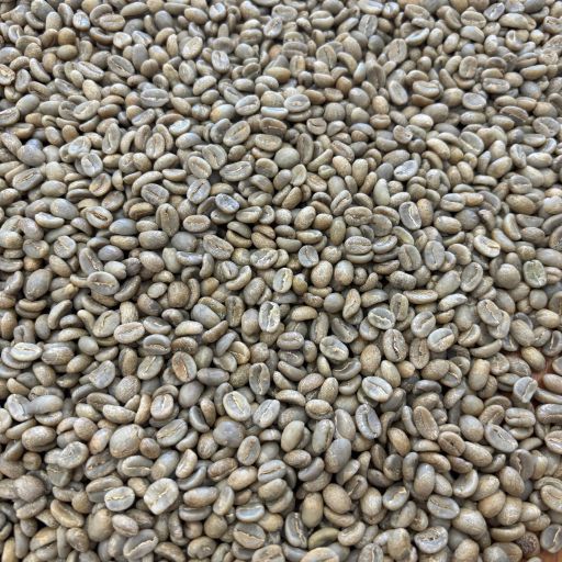 Finca El Chaferote 2 - Washed Pink Bourbon