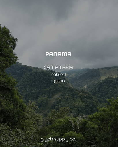 Santamaria Gesha Natural