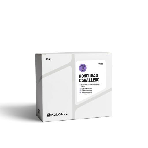 Honduras Caballero