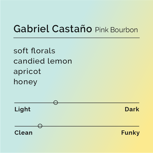 Gabriel Castaño - Pink Bourbon