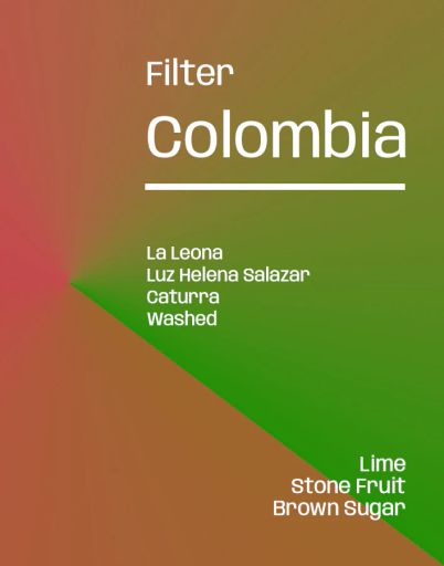 Colombia La Leona Caturra Washed - Filter