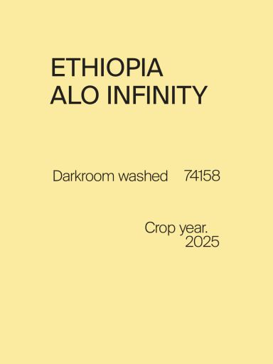Ethiopia Alo Infinity 74158 Darkroom Washed