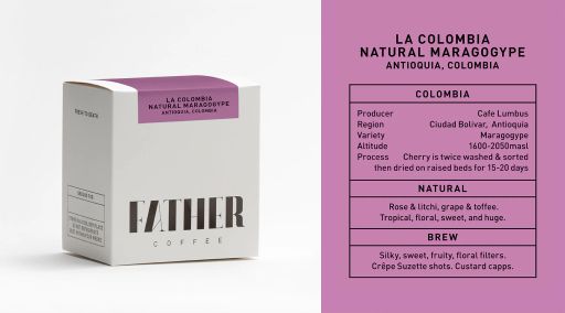 La Colombia Natural Maragogype, Antioquia, Colombia