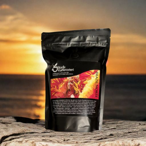 Brazil Norte Pienero