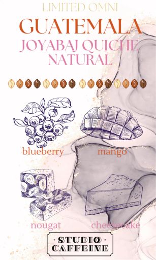 *LIMITED OMNI* Guatemala Joyabaj Quiche Natural