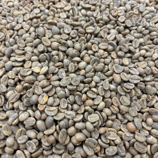 Maribel Hererra - Peru, Washed