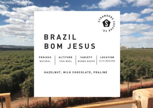 Brazil Fazenda Bom Jesus Natural