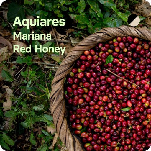 Aquiares, Costa Rica