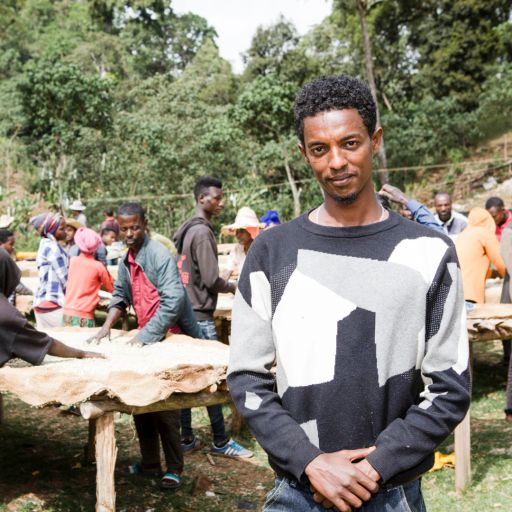 Ethiopia - Refisa - Extended Fermentation Washed