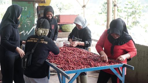 Indonesia Java Halu Black Honey