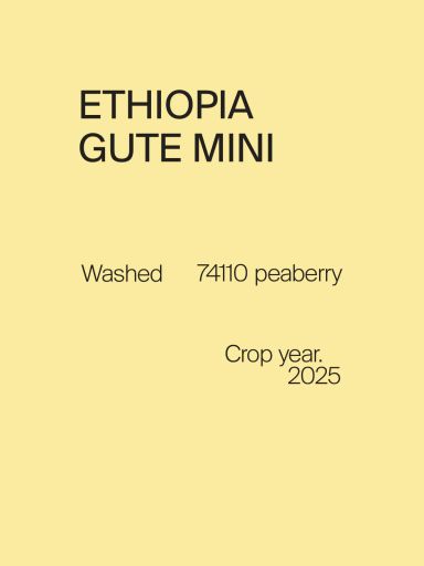 Ethiopia Gute Mini 74110 Peaberry Washed