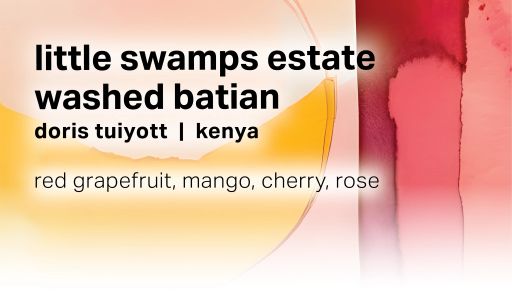 Doris Tuiyott Little Swamps Estate - Washed Batian