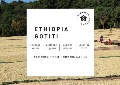 Ethiopia Gotiti Washed