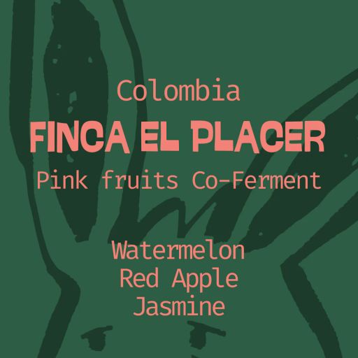 Colombia | Pink Fruits Co-Ferment | Honey Caturra