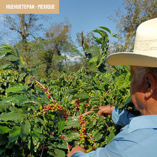 Huehuetepan | Mexique