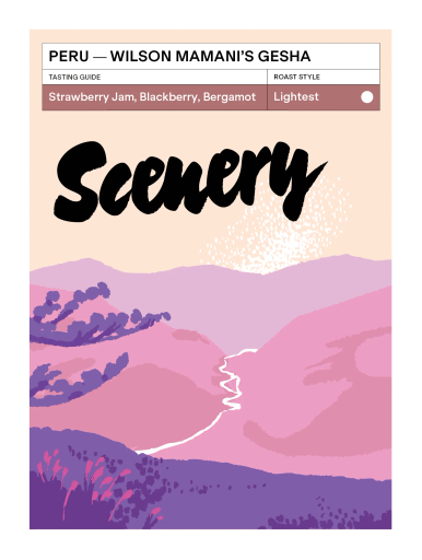 Peru Wilson Mamani Contreras Gesha