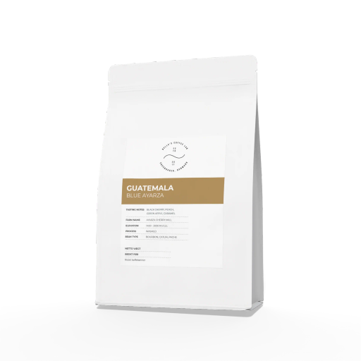 Guatemala Blue Ayarza