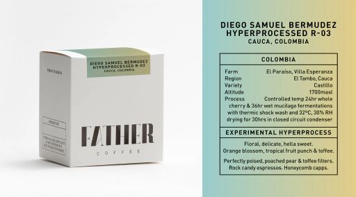 Diego Samuel Bermudez Hyperprocessed Castillo R-03