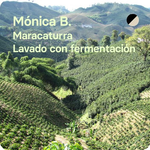 Mónica Berdugo, Colombia