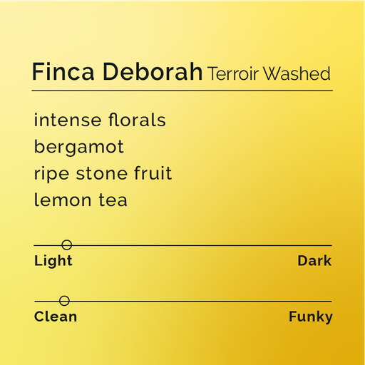 Finca Deborah - Terroir Gesha