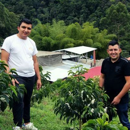 Finca El Diviso Sidra Natural