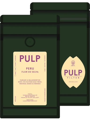 Pulp Filter Peru