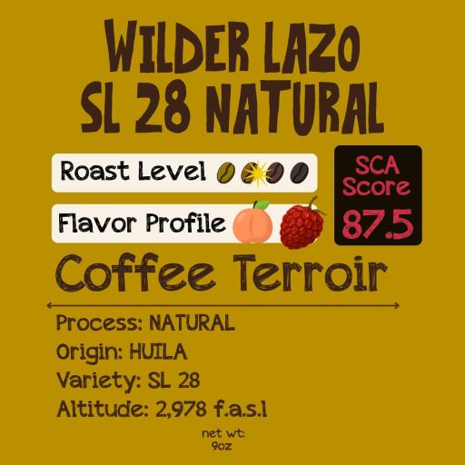 Wilder Lazo SL 28 Natural
