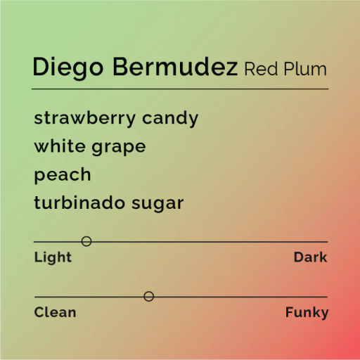 Diego Bermudez - Red Plum