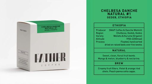 Chelbesa Danche #1 Natural, Gedeb, Ethiopia