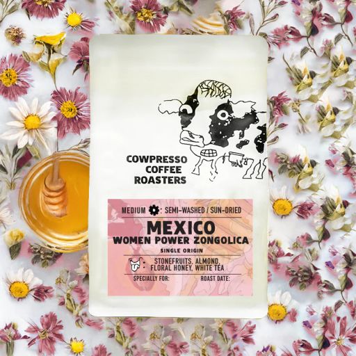 Mexico Women Power Zongolica