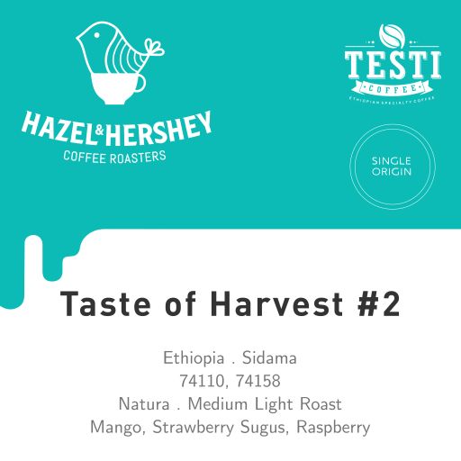 Ethiopia Taste of Harvest #2