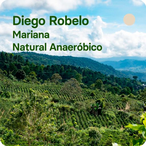 Diego Robelo, Costa Rica