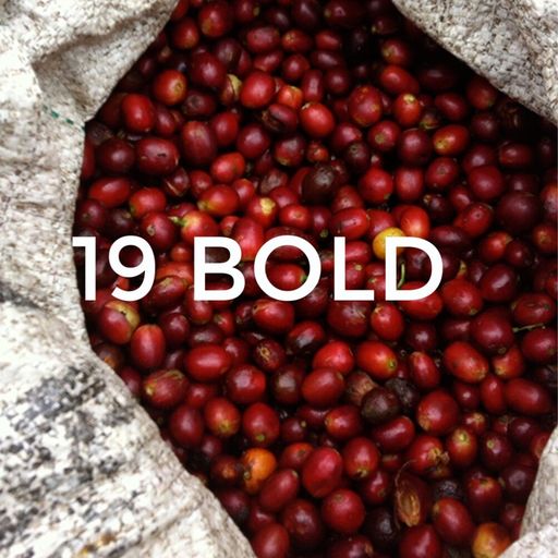 Organic 19 Bold