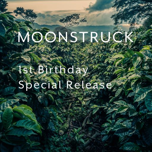 MOONSTRUCK, Lérida Honey Gesha