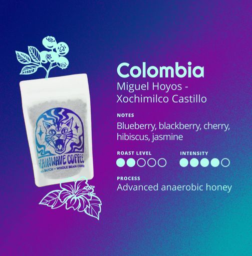 Miguel Hoyos - Xochimilco Castillo