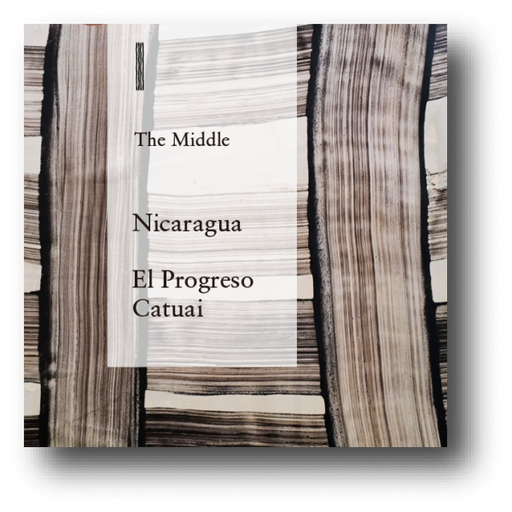 Nicaragua Finca El Progreso Catuai Washed "The Middle"