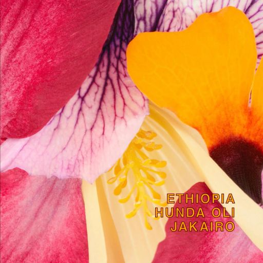 Ethiopia Hunda Oli Jaikaro