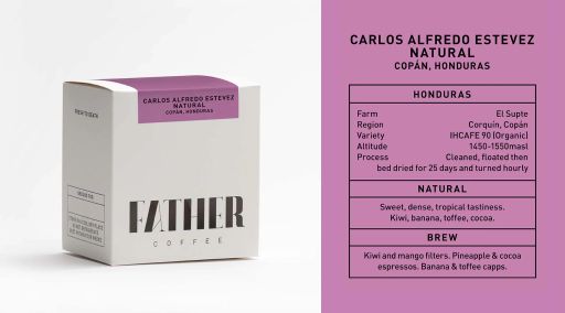 Carlos Alfredo Estevez Natural, Copán, Honduras